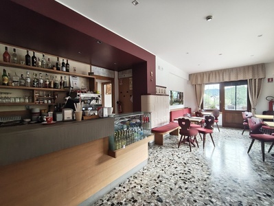 Bar, vista del bancone