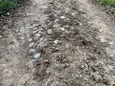 Photo 22 - Dirt path with large stones present