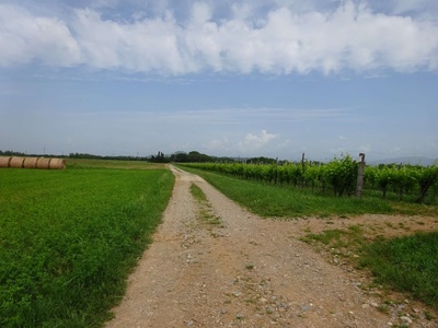 Photo 24 - Path on dirt ground