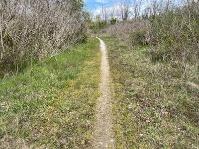 Photo 36 - Very narrow dirt path