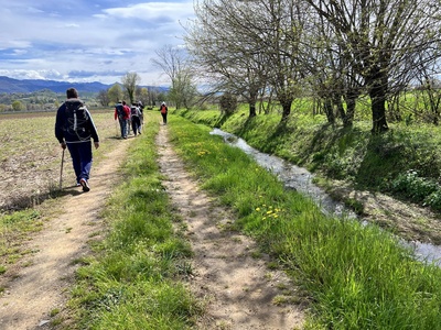 Foto 41 - Proseguimento del percorso costeggiando la roggia sulla destra