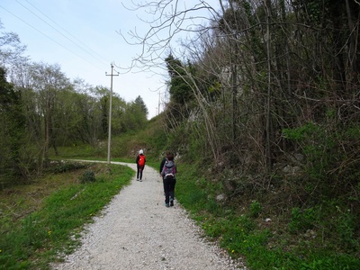 Foto 42 - Percorso su strada in ghiaia