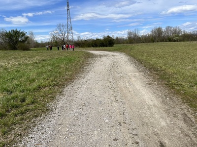 Photo 8 - Dirt path with fine gravel