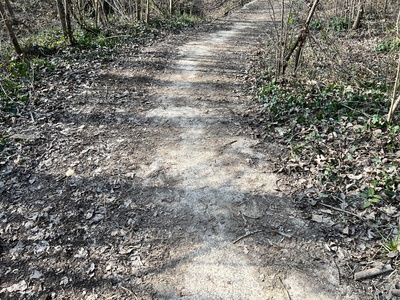 Photo 15 - Path on paved trail