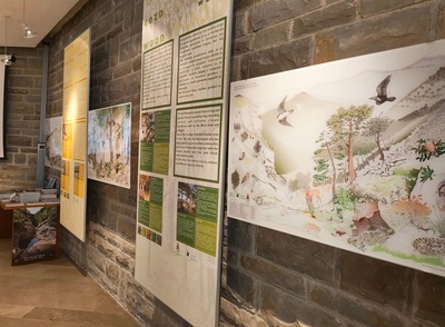 Centro visite, dettaglio pannelli esplicativi