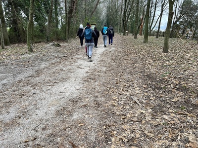 Photo 31 - Path on gravel trail