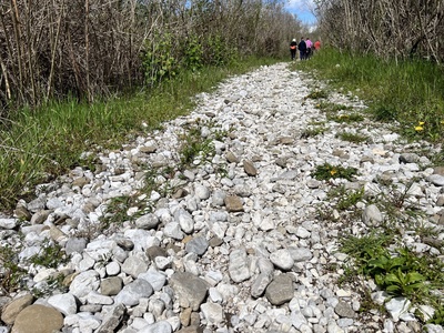 Foto 47 - Zona del percorso con presenza di pietre di grandi dimensioni