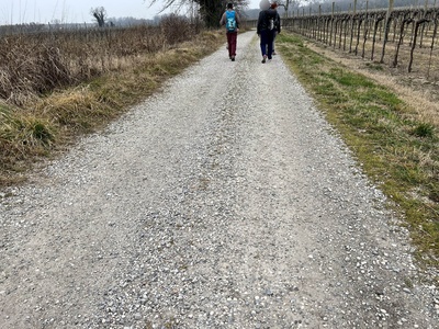 Photo 52 - Path on gravel road