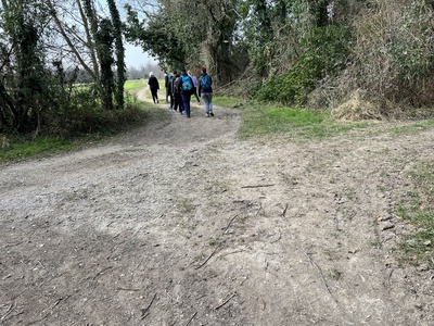 Photo 8 - Path on dirt road