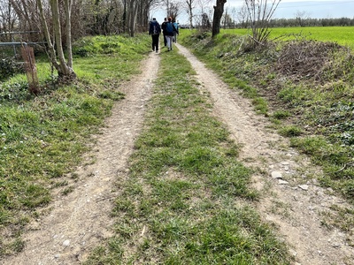 Photo 24 - Dirt path with presence of grooves and medium-sized stones