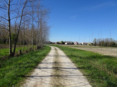 Photo 19 - Dirt path in a rural environment 