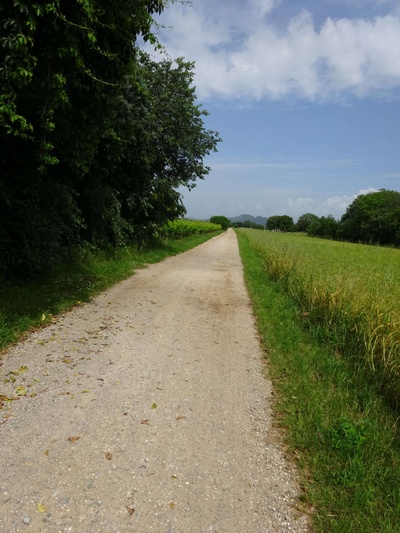 Photo 23 - Path on dirt ground