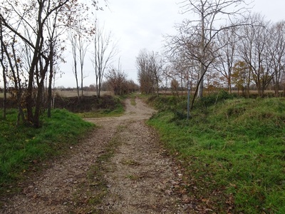 Photo 13 - Dirt section lined with trees