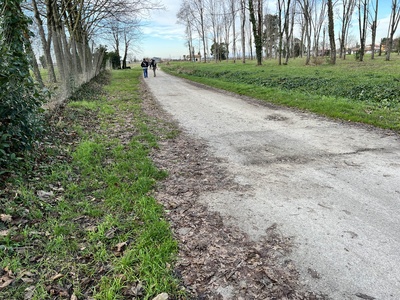 Photo 3 - Beginning of dirt road