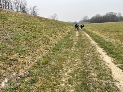 Photo 57 - Path on grassy dirt road