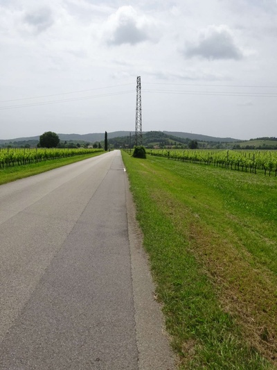 Foto 45 - Continuazione percorso su strada asfaltata