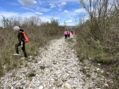 Photo 35 - Dirt path with large rocks present