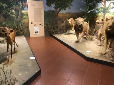 Sala 13