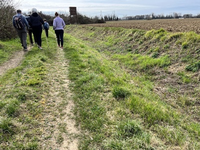 Photo 14 - Dirt and grassy path