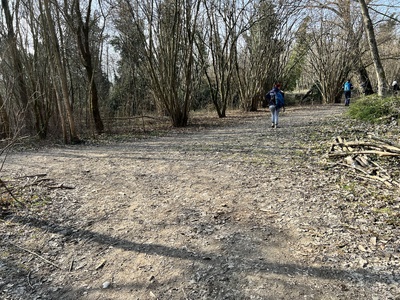 Photo 10 - Path on dirt road