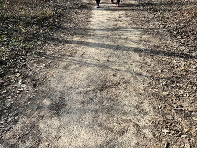 Photo 16 - Path on paved trail