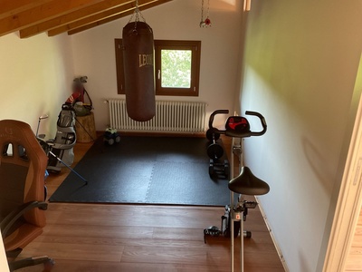 Palestra primo piano