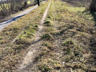 Photo 92 - Path on grassy trail