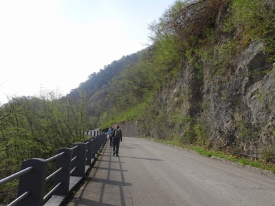 Foto 6 - Percorso su strada asfaltata