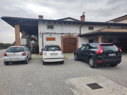 Fiegl Vini