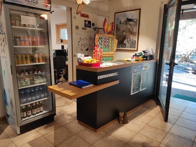 Piano terra, dettaglio del bancone