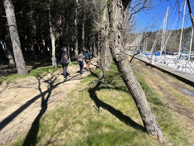 Foto 20 - Tratto del percorso più stretto, con presenza di radici e sassi sporgenti