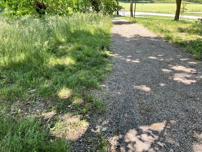 Foto 62 - Tratto di strada più ampio caratterizzato da asfalto e ghiaia