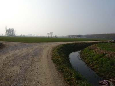 Photo 12 - Path on dirt road