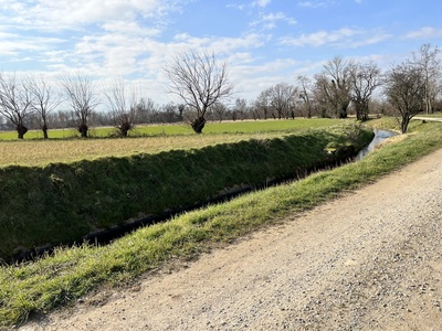 Photo 23 - Dirt road that runs alongside the Roggia di Udine