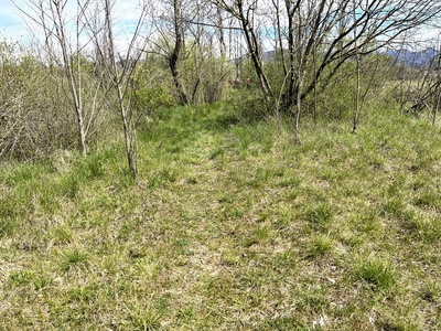 Photo 49 - Green area near the sports field in the locality of Cortale (Savorgnano al Torre)