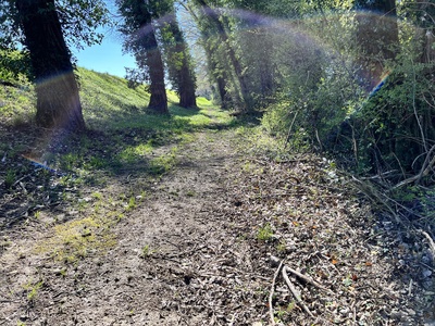 Photo 64 - Path on muddy trail