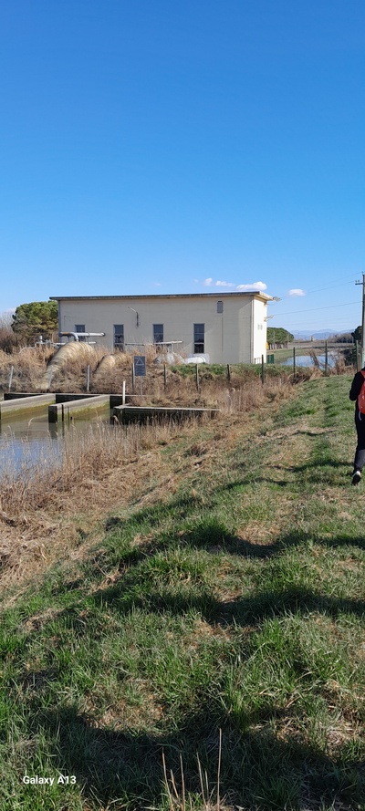 Photo 8 - Footbridge from which the way back is accessed