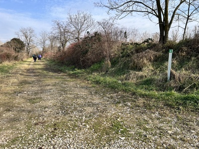 Photo 19 - Wide road with grassy and gravelly surface