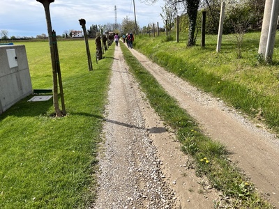 Photo 29 - Dirt and grassy path, with depressions