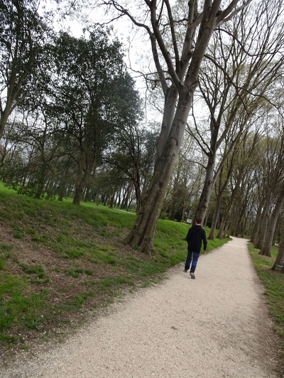 Photo 30 - Path with gravel surface