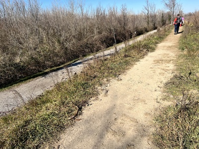 Photo 102 - Path on dirt road