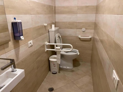 Bagno, particolare maniglione abbassato