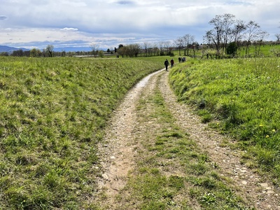 Photo 37 - Dirt and grassy path, uneven in places