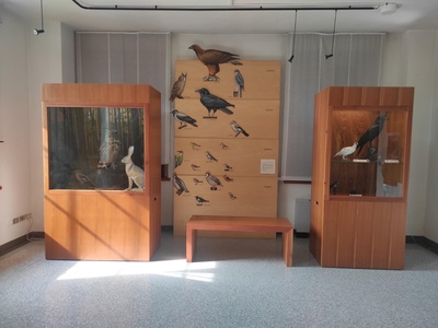 Saletta didattica, teche museali