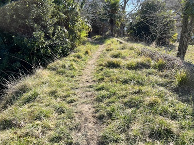 Photo 94 - Path on grassy trail