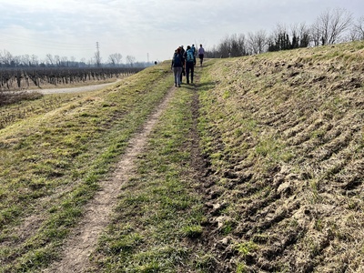 Photo 21 - Path on dirt trail