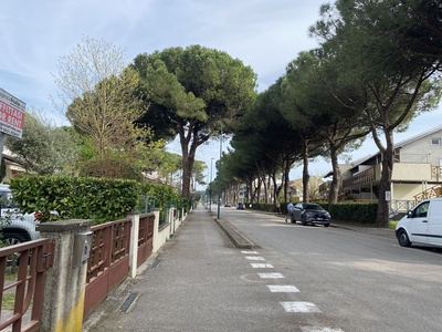 Foto 4 - Pista ciclabile in viale Adriatico