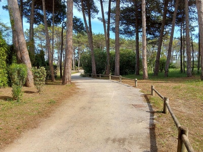 Da ingresso a sportello