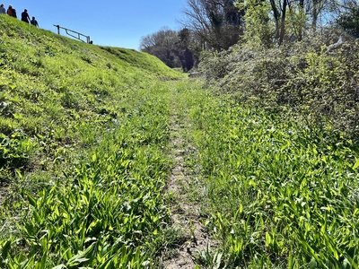 Photo 66 - Path on grassy dirt road