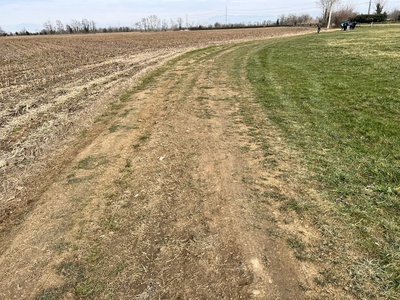 Photo 13 - Muddy and grassy dirt path